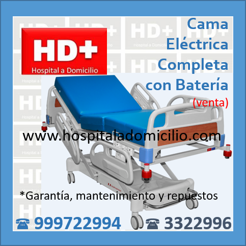 Cama Clinica Electrica  VENTA
